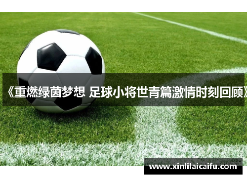 《重燃绿茵梦想 足球小将世青篇激情时刻回顾》
