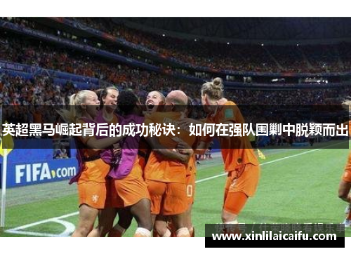 英超黑马崛起背后的成功秘诀：如何在强队围剿中脱颖而出