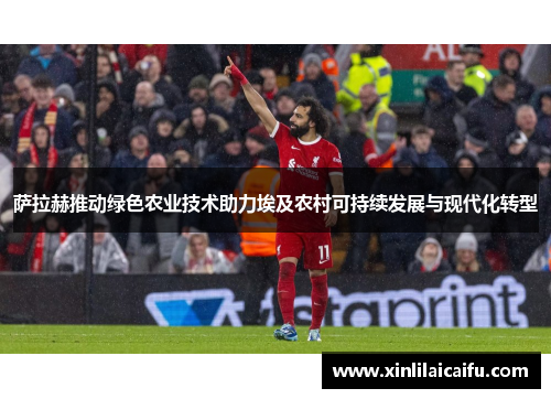 萨拉赫推动绿色农业技术助力埃及农村可持续发展与现代化转型