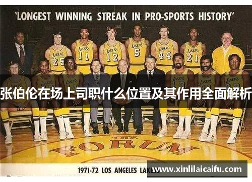 张伯伦在场上司职什么位置及其作用全面解析