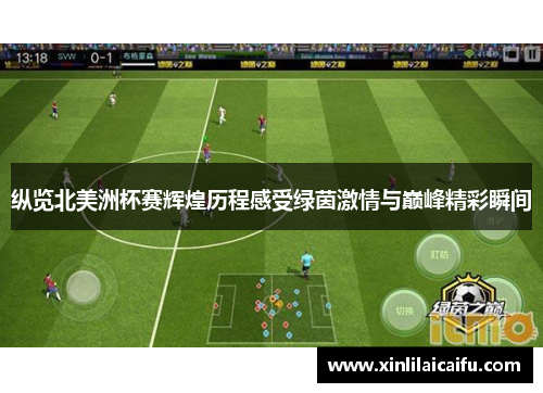 纵览北美洲杯赛辉煌历程感受绿茵激情与巅峰精彩瞬间