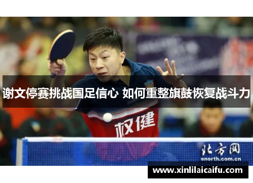 谢文停赛挑战国足信心 如何重整旗鼓恢复战斗力